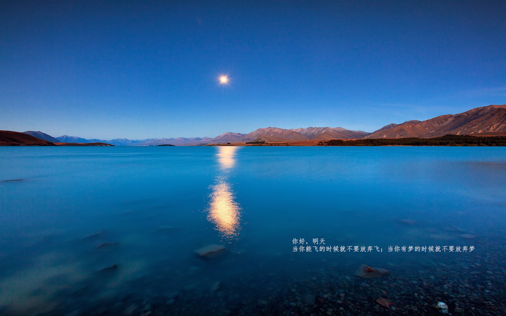 巴林赛道与印城球馆的统治之夜