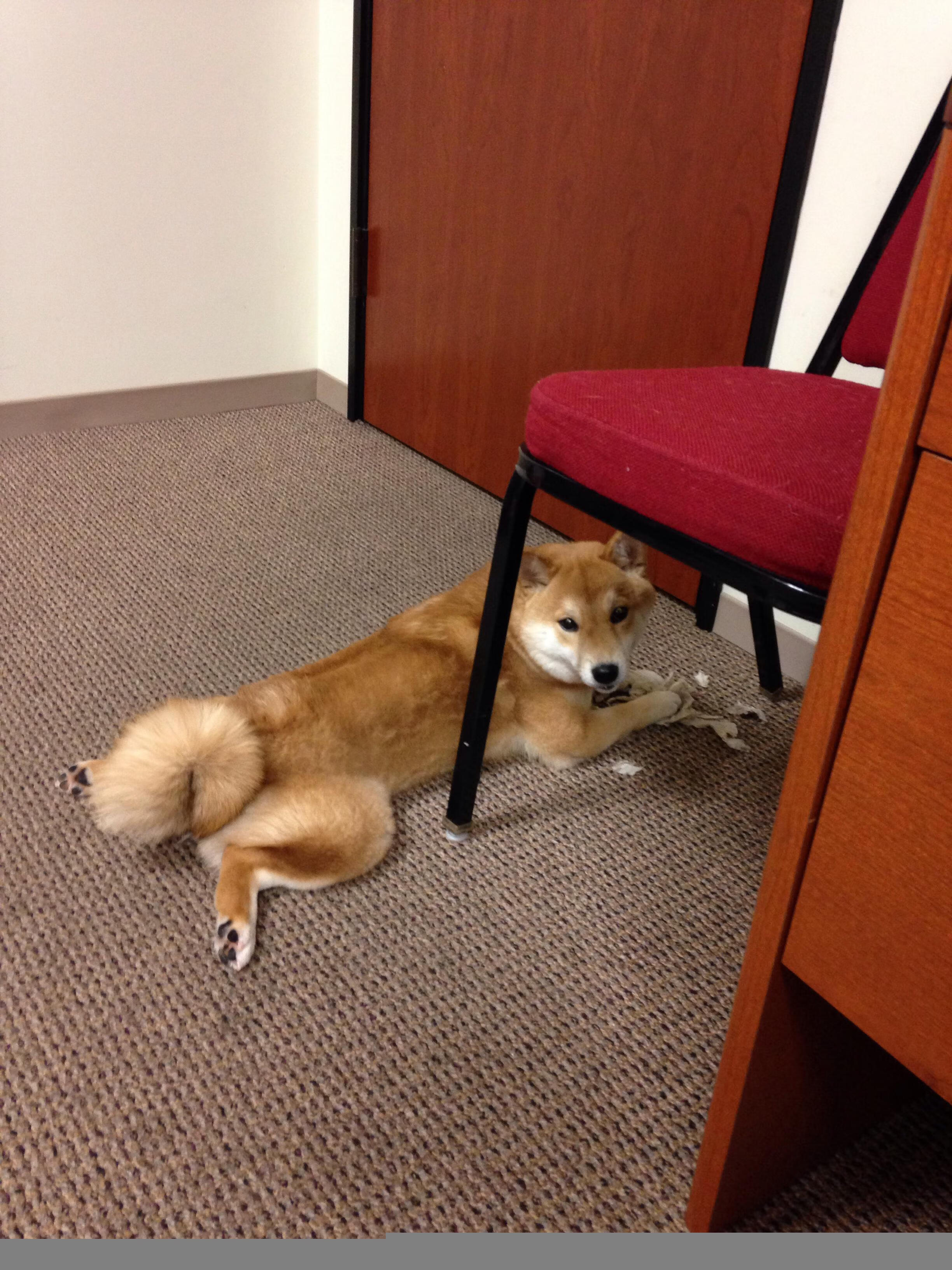 友谊赛的硬仗,当南非邂逅拉齐奥,见证黄喜灿的王者时刻