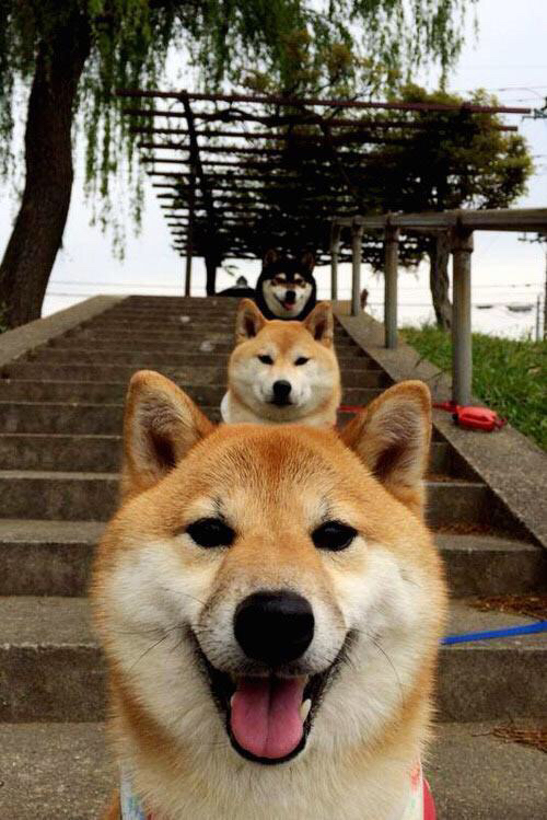 从金州到犹他，克莱·汤普森变身爵士复仇者，大心脏三分绝杀湖人揭幕战