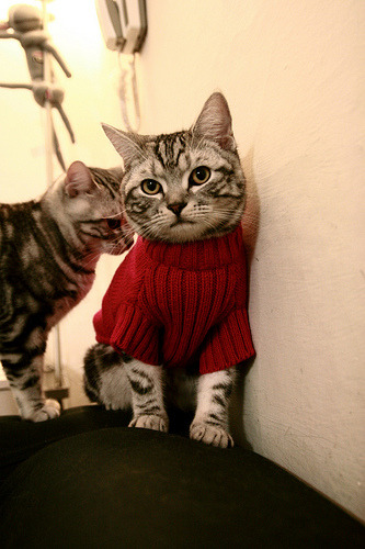 刹车点上的救赎,苏亚雷斯的终极一弯