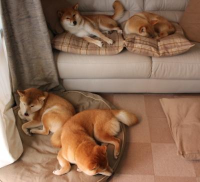 当水花溅入鹏城，克莱·汤普森如何用一记绝杀为深圳正名