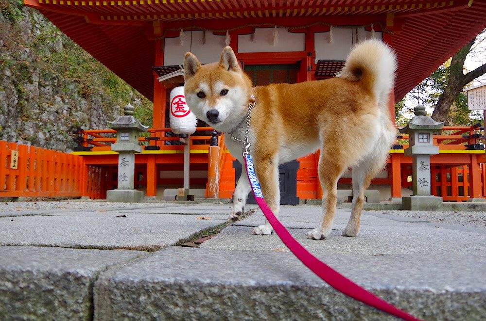 非常有画面感和戏剧性,充满了竞技体育最激动人心的元素。让我们围绕唯一性这个核心,构思标题与文章