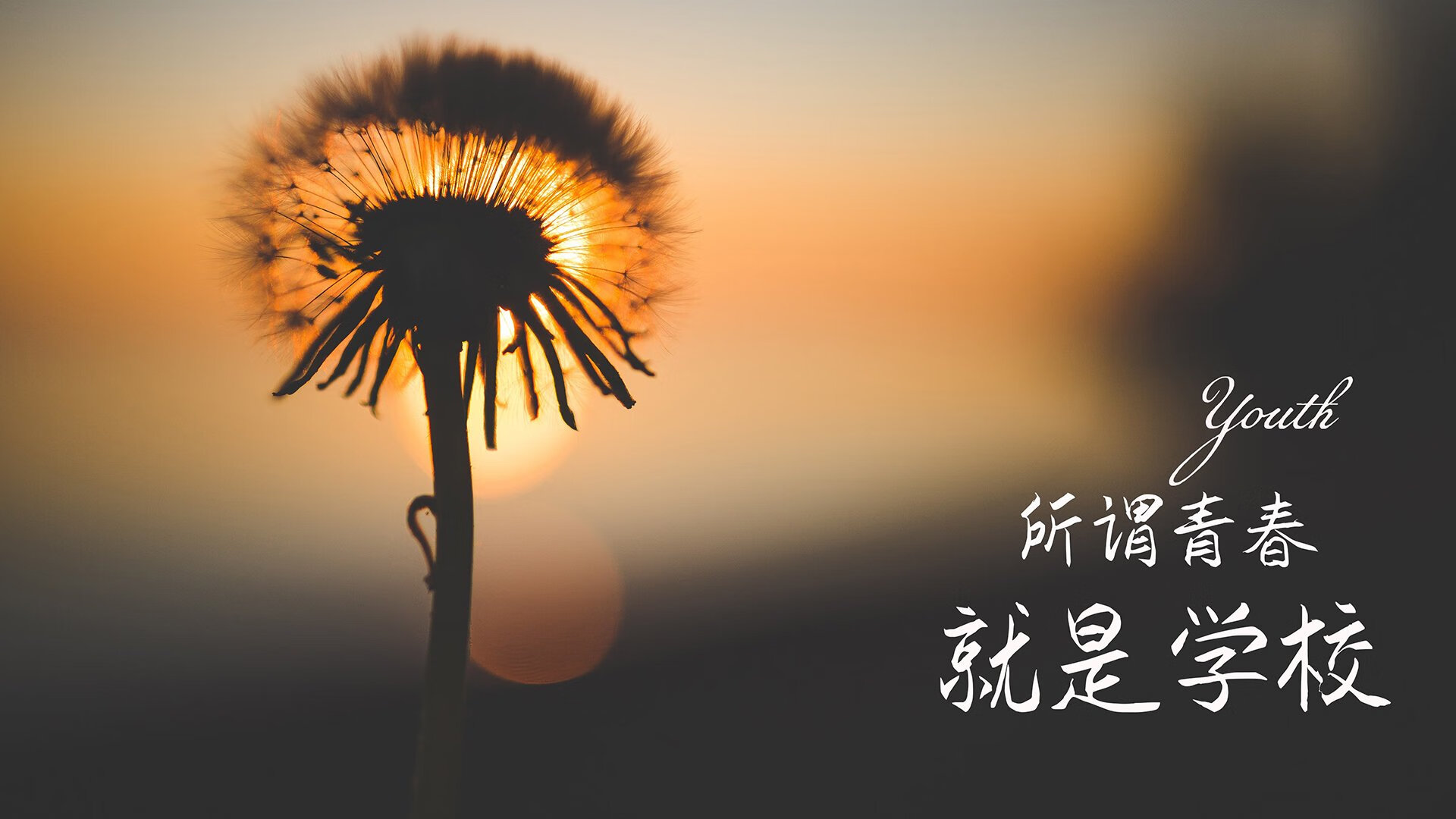 绿色闪电撕裂钢铁战车,佩德里加冕厄瓜多尔之王,一场写满宿命与重生的G组史诗