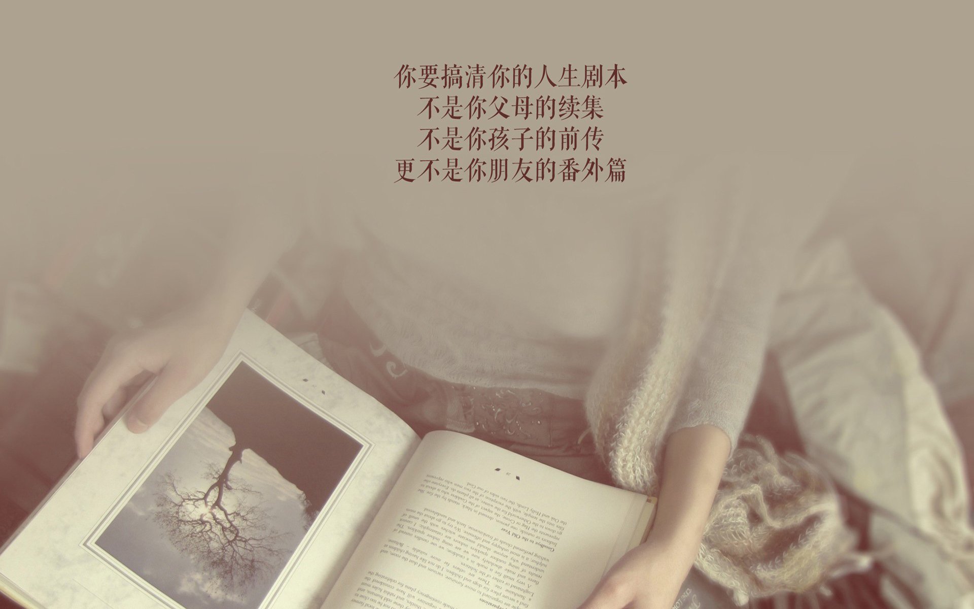 孤星破晓,坎塞洛与乌拉圭在2026世界杯A组的铁血独白