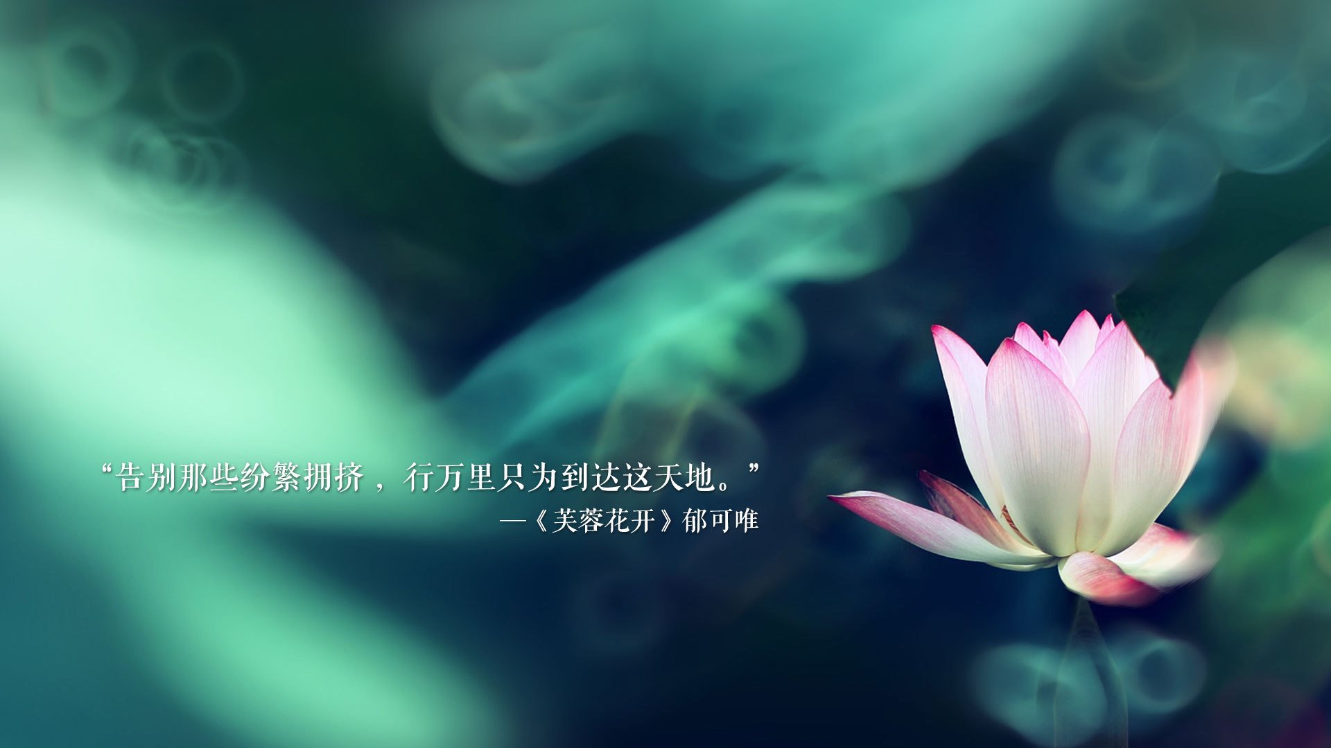 命运十字路口的唯一瞬间,厄瓜多尔如何颠覆G组秩序,让葡萄牙黄金一代梦碎2026